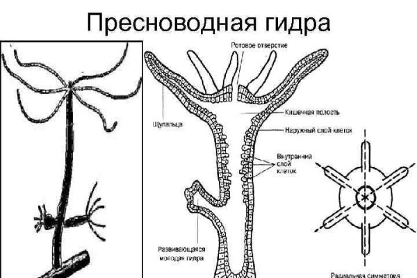 Кракен вывод средств